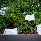 From Washington, DC, to Washington State