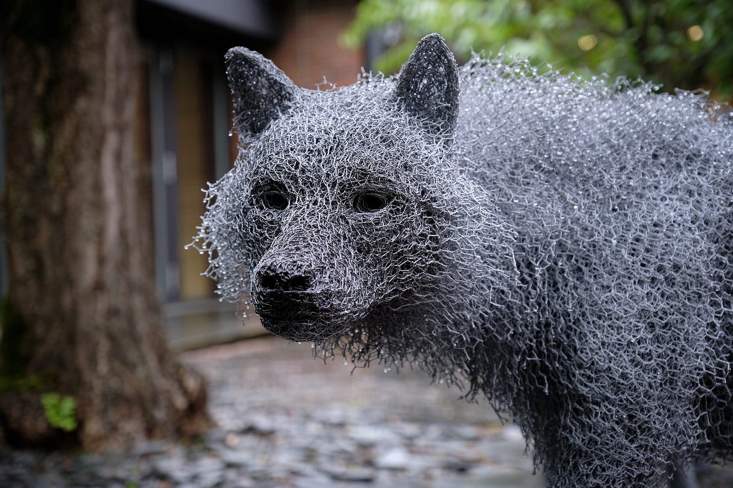 a detail of a life-size wire sculpture of a wolf