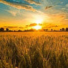 Cutting SNAP Cuts the Farm: When the Table Goes Empty in America’s Heartland