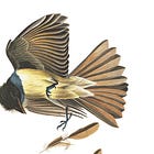 'Bright sulphur-yellow knickerbockers!' and other observations