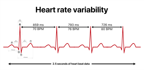 Heart rate variability - Wikipedia
