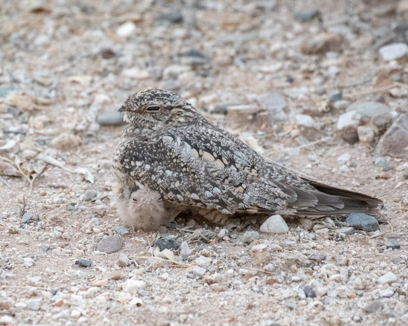 20200623_LN-52.jpg 20200623_LN-52.jpg