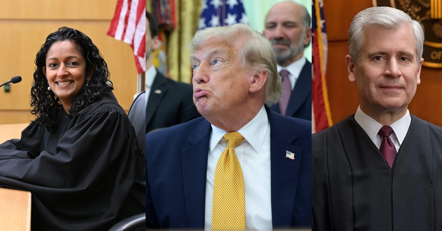 BREAKING: Courts Smack Down Trump Twice in One Day