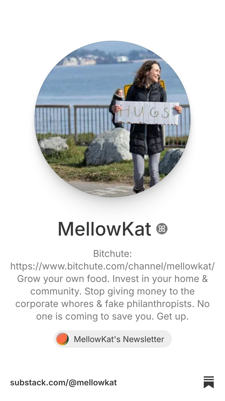 MellowKat | Substack