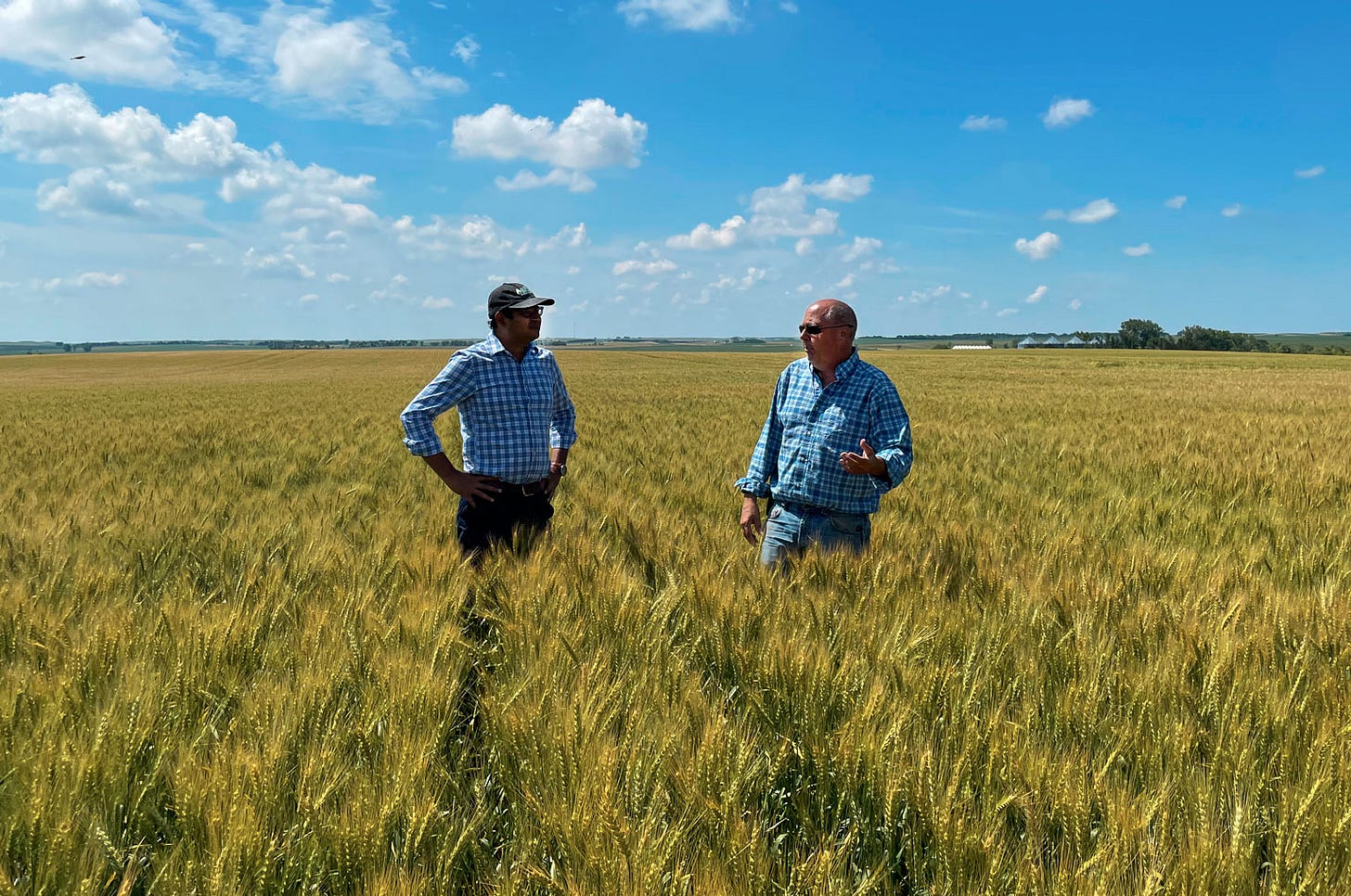 Men talking in a field