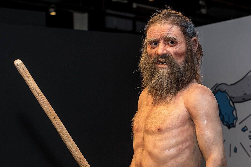 Ötzi the Iceman Had Dark Skin, Bald Head and Anatolian Ancestry -New study  rewrites ancient history - Arkeonews