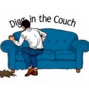 Digging in the Couch 