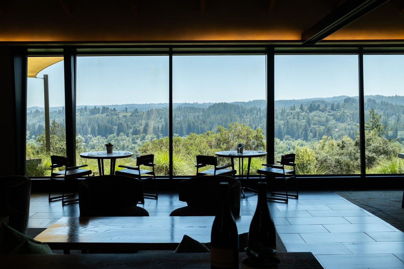 Gary Farrell tasting room with floor-to-ceiling windows overlooking Russian River Valley vineyards