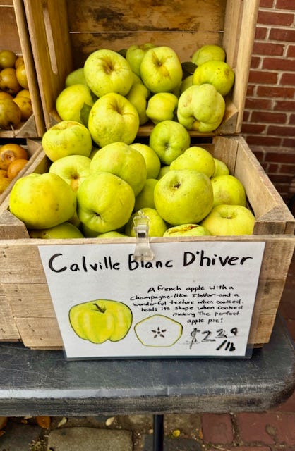 photos of head house farmers market and fall in philly