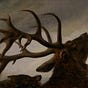 Nathanael Hart's avatar