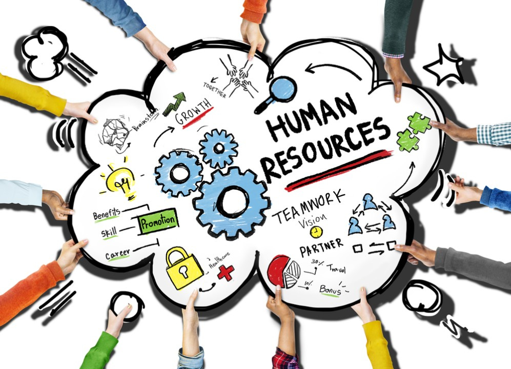 Data Visualization in the HR World