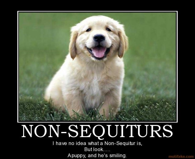 Non Sequitur is a Logical Fallacy