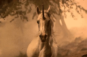 dream dreaming GIF dream dreaming GIF