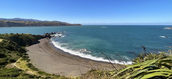 Breaker Bay, Wellington, New Zealand - January 2022