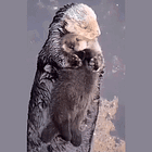 Renewable Energy Killed Your Asthma! Tabs, Fri., June 14, 2024