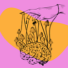 Europe's Psychedelic Jewel: The Liberty Cap Mushroom