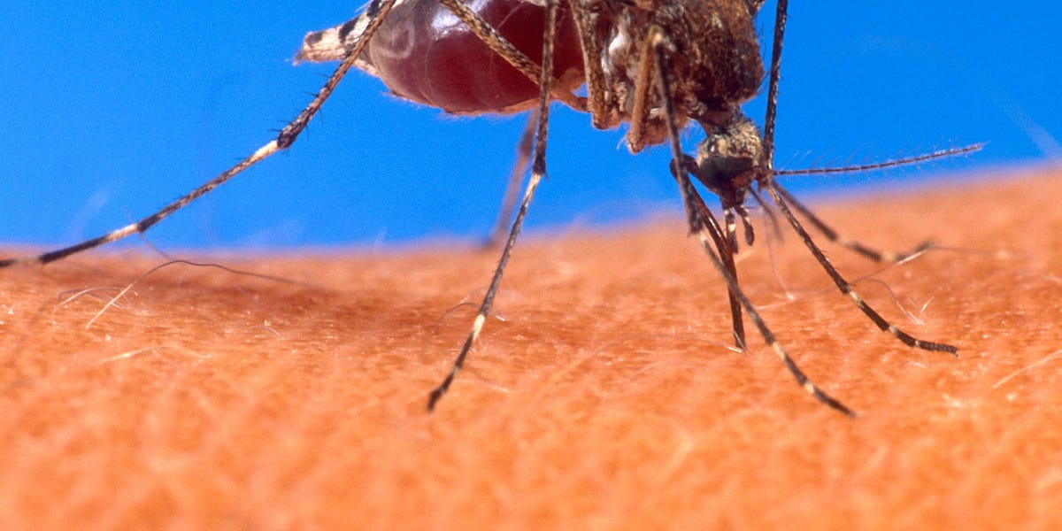 The new pending "plandemic" - is it scheduled for November?