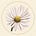 Lori Johnson's avatar