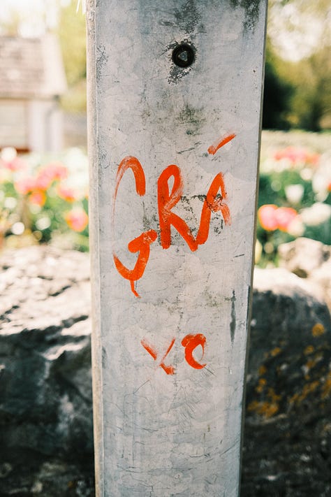 Ireland in Fuji photographs by Tyler Knott Gregson