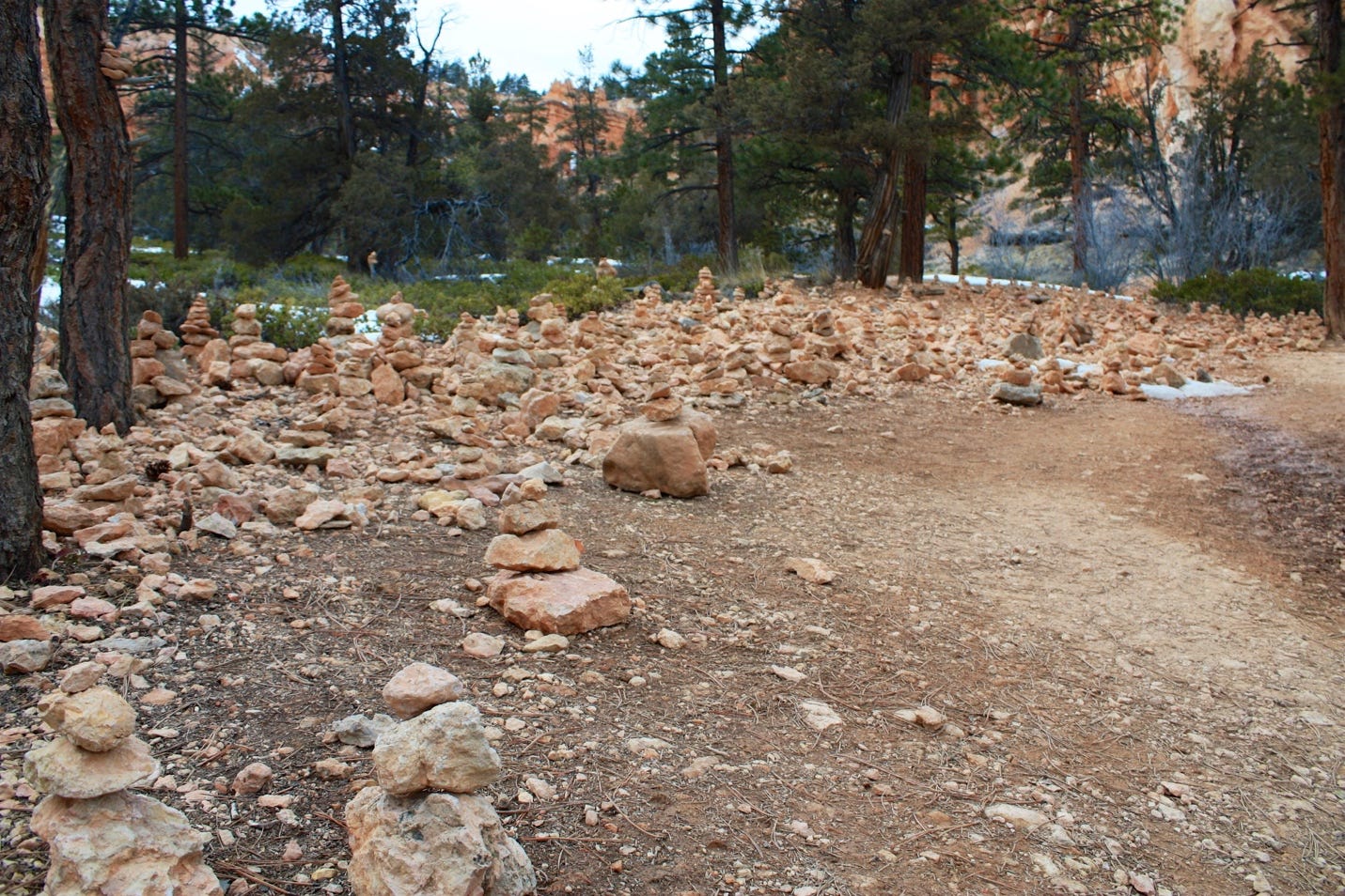 A pile of rocks in a forest

Description automatically generated