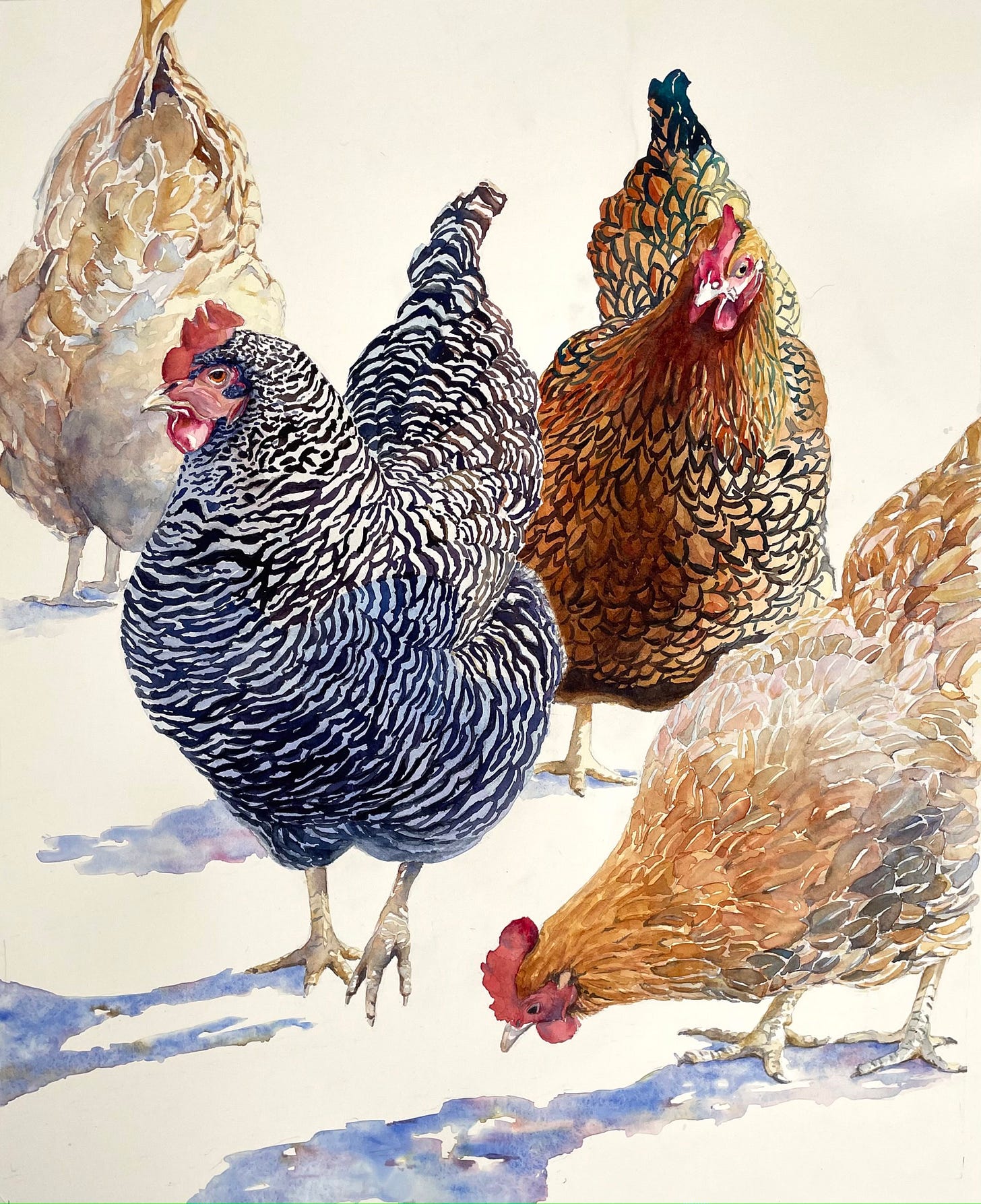 Spring Chickens by Susan L. Johnson