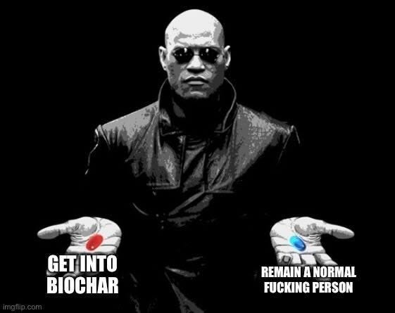 Morpheus from The Matrix holding out two pills. Red: "Get into biochar". Blue: "Remain a normal fucking person".