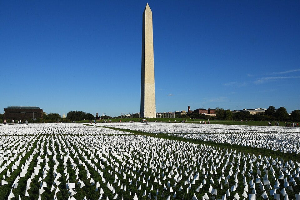 File:COVID-19 Memorial Field of White Flags on the Mall 57 - Washington Monument.jpg
