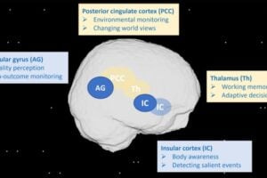 How space travel influences the way the brain works