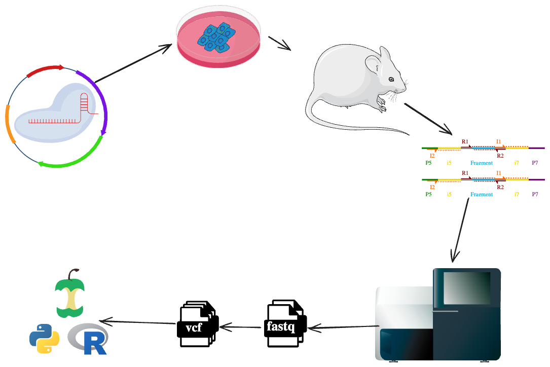 Free and open-source images, icons, and tools for creating scientific ...