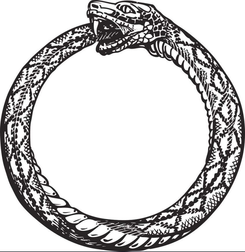 ouroboros-snake-eating-its-own-tail-eternity-or-vector ...