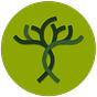 Savimbo's avatar