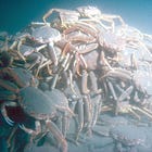 The Mystery of Crab Mountains, Part 1