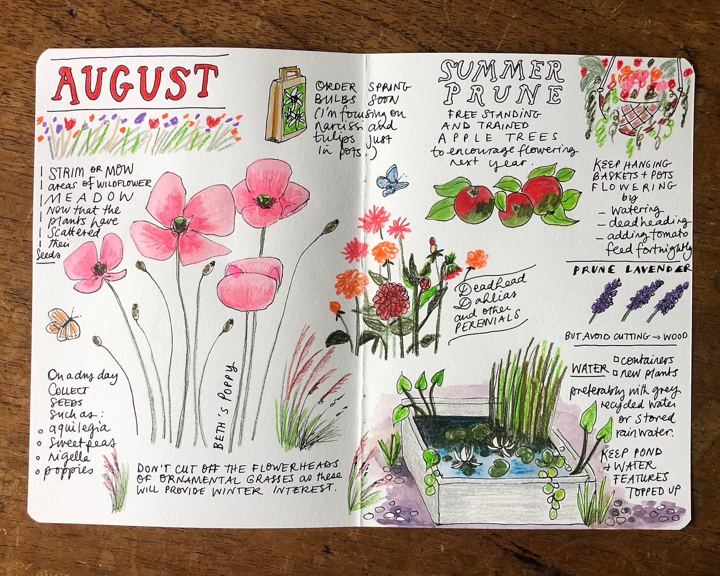hand drawn illustrations in a diary journal page
