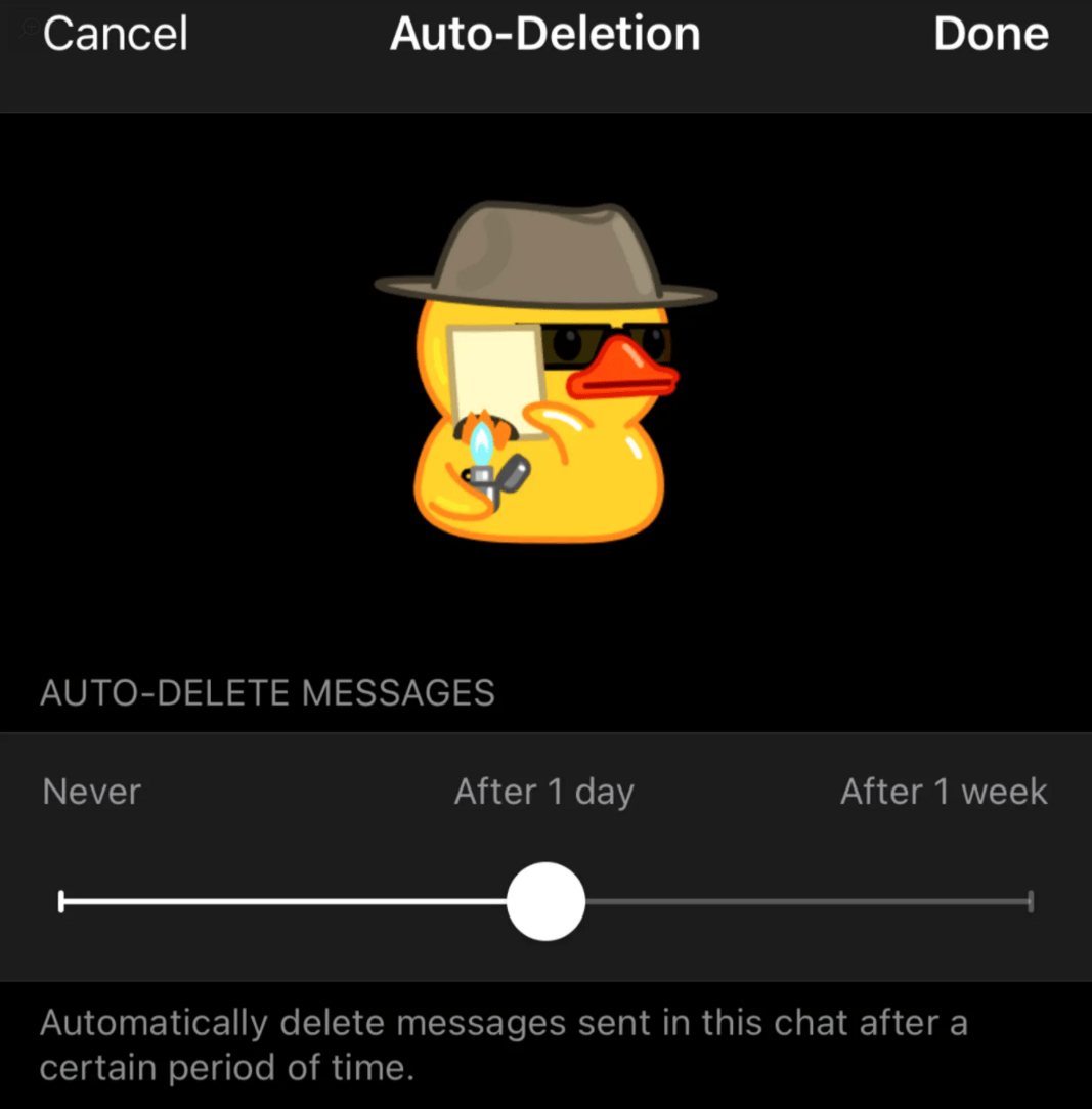 如何自动删除所有telegram消息- iyouport
