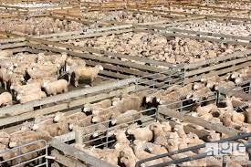 Establishment whitewash - choice of method