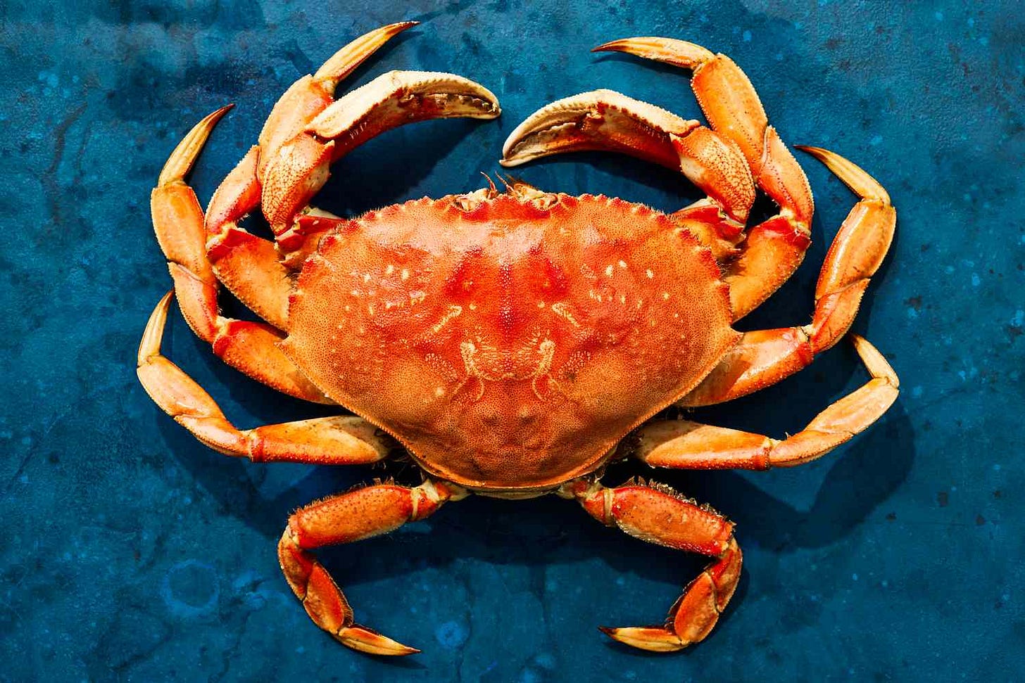 December Means Dungeness Crab Season in the Bay Area December Means Dungeness Crab Season in the Bay Area