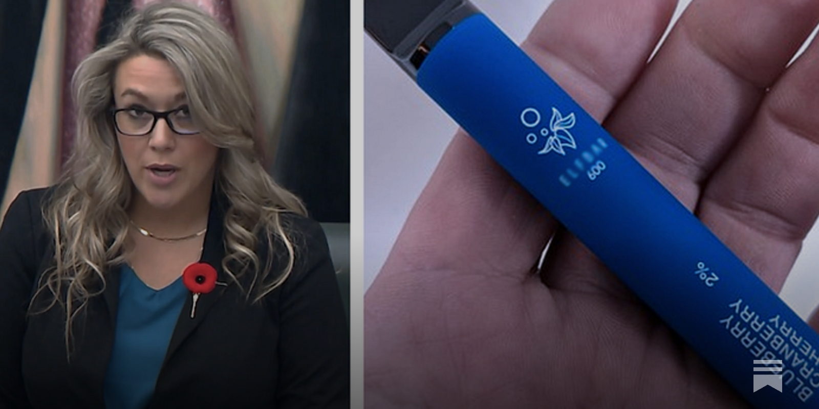 EXCLUSIVE: Alberta to ban flavored vapes if new bill from UCP MLA passes EXCLUSIVE: Alberta to ban flavored vapes if new bill from UCP MLA passes