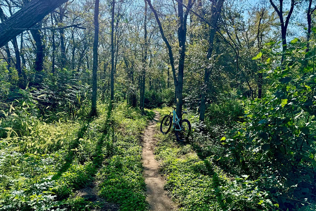 Mountain biking in Magic Meadow