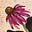 Gayle Gillit's avatar