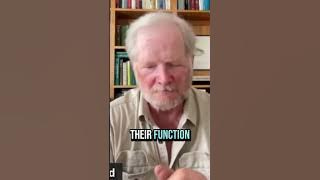 Video thumbnail: David Mayhood explains how gravel filters and cleans water for living rivers and humans #water #yyc Video thumbnail: David Mayhood explains how gravel filters and cleans water for living rivers and humans #water #yyc