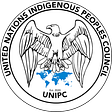 United Nations Indigenous P...'s avatar