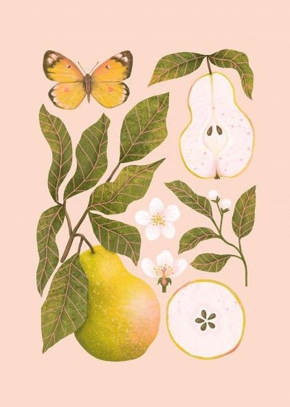 This may contain: an illustration of pears and butterflies on a branch with leaves, flowers, and fruit
