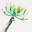 Steve Conover's avatar