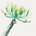 Steve Conover's avatar