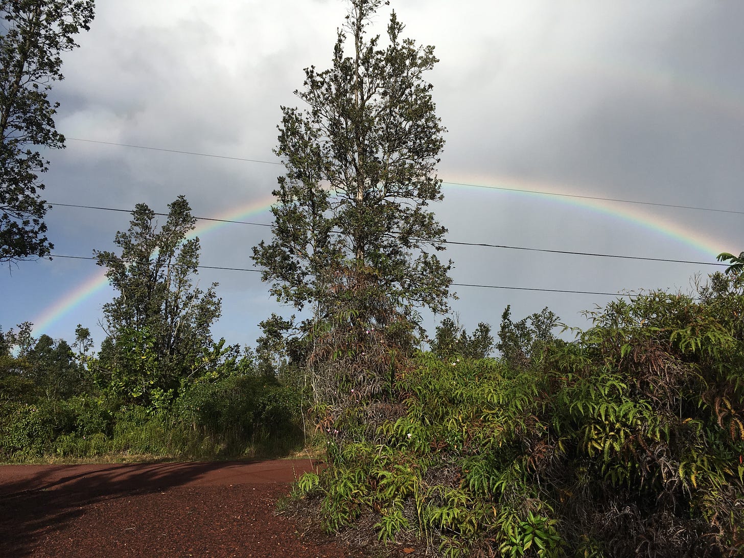 Rainbow, red road, and ohia treas on the Big Island