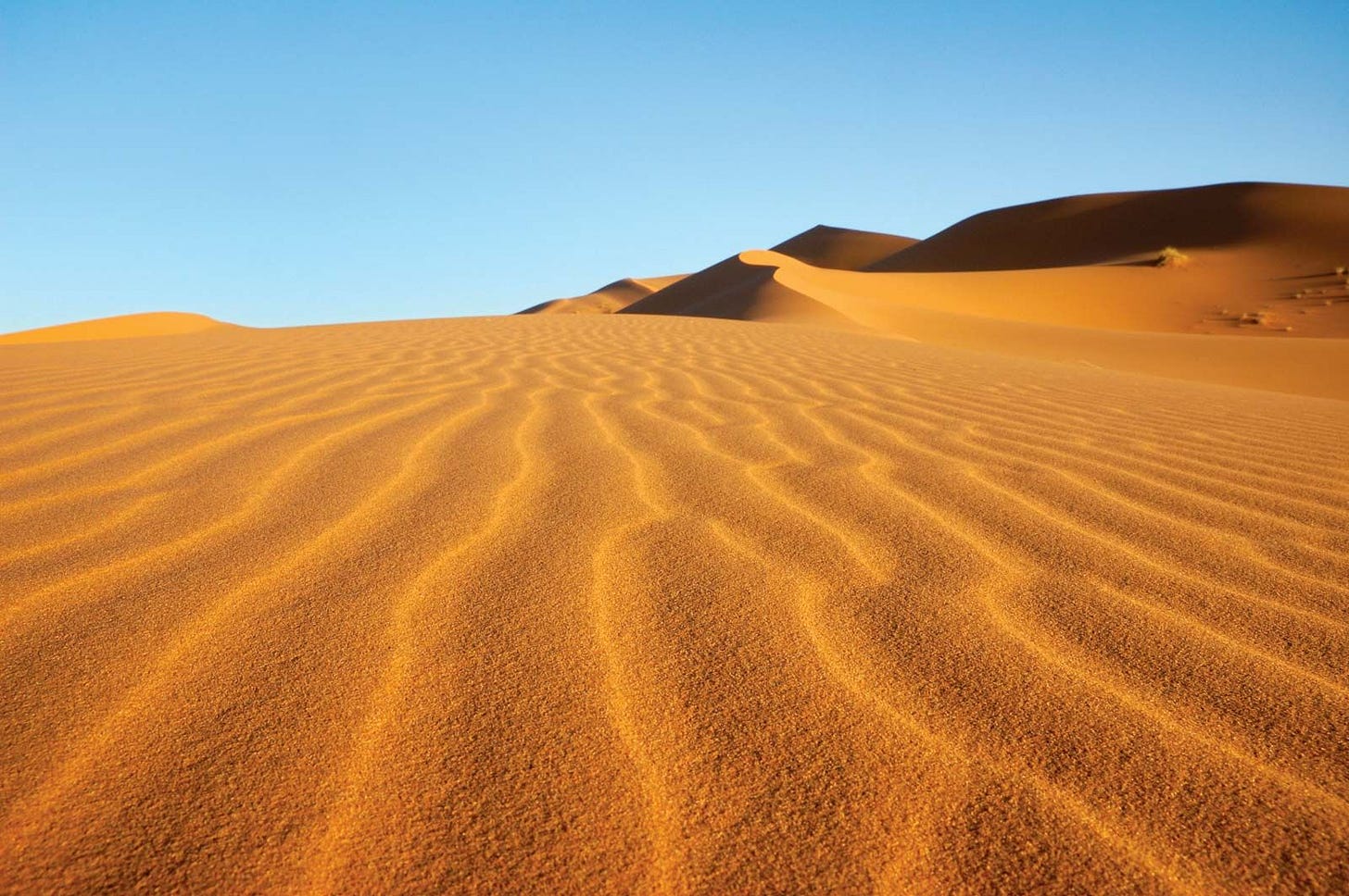 Sahara | Location, History, Map, Countries, Animals, & Facts | Britannica