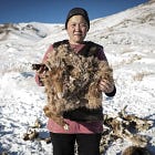 It's Snowing In Mallorca; Winter's Freeze Kills 2.1 Million Animals In Mongolia; Antarctica Nears -80F; + Country's Drop Investigations Into Nord Stream Sabotage, Citing "It's Complicated"