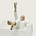 Suzanne Rothmeyer's avatar