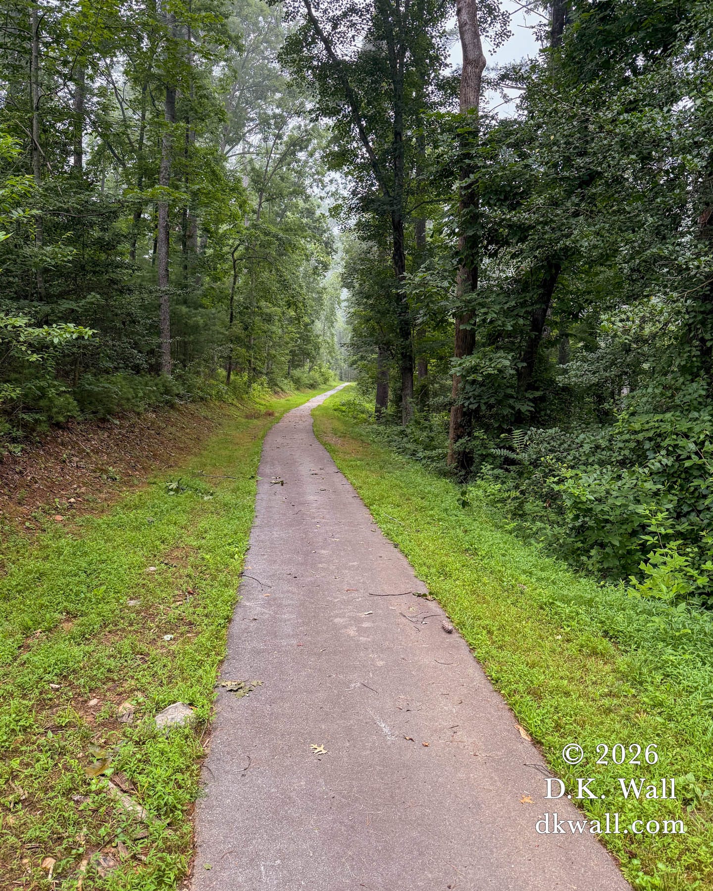 A footpath stretches into the distance in a lush Appalachian mountain scene.