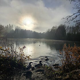 Wintering & Wondering